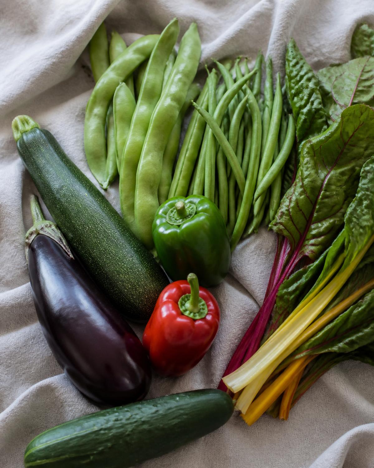 Vers geoogste groenten: snijbonen, sperziebonen, courgette, aubergine, paprika, komkommer en regenboogsnijbiet