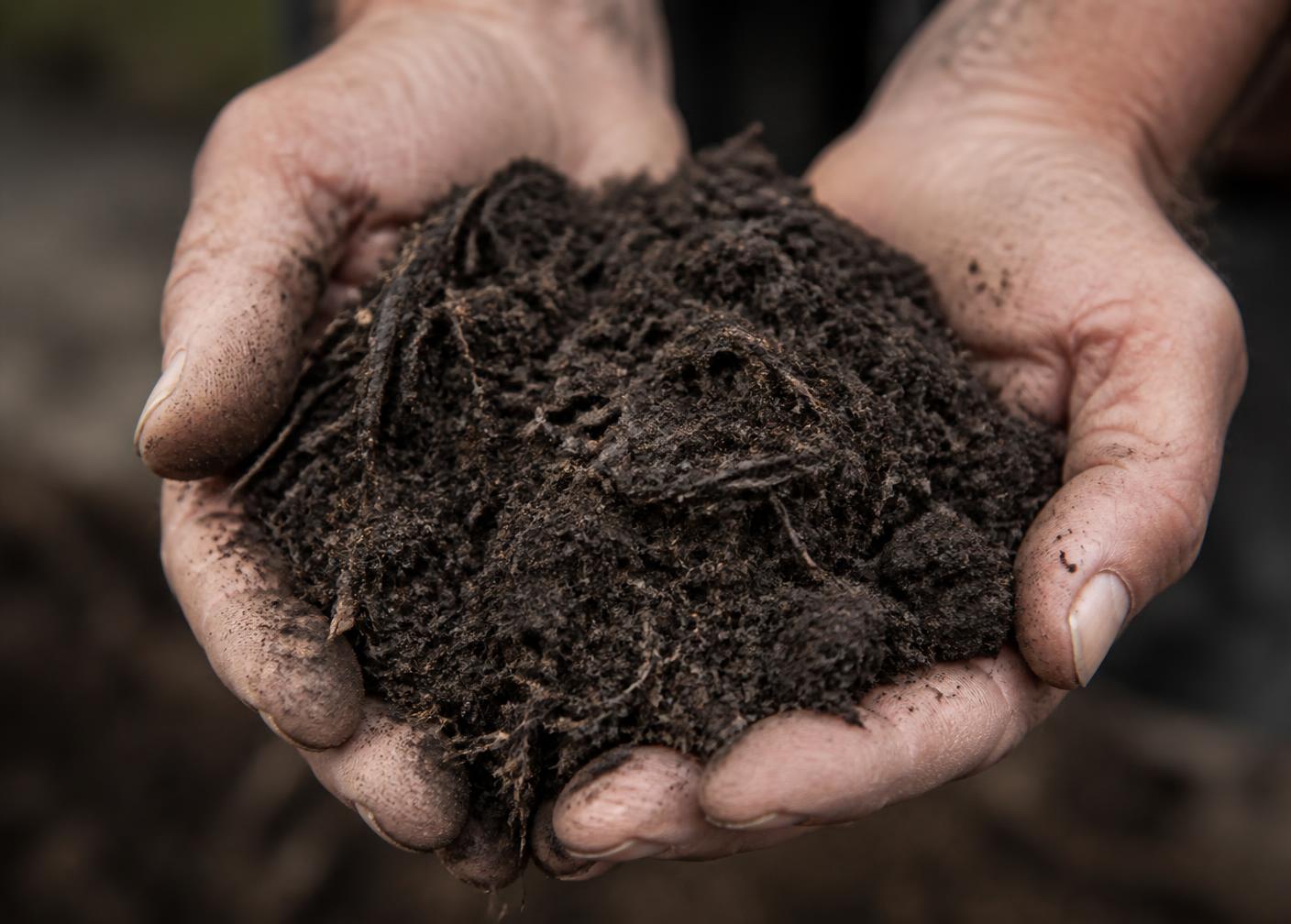 Handen met donkere zeeklei en compost uit de kas van Jochum de Boer
